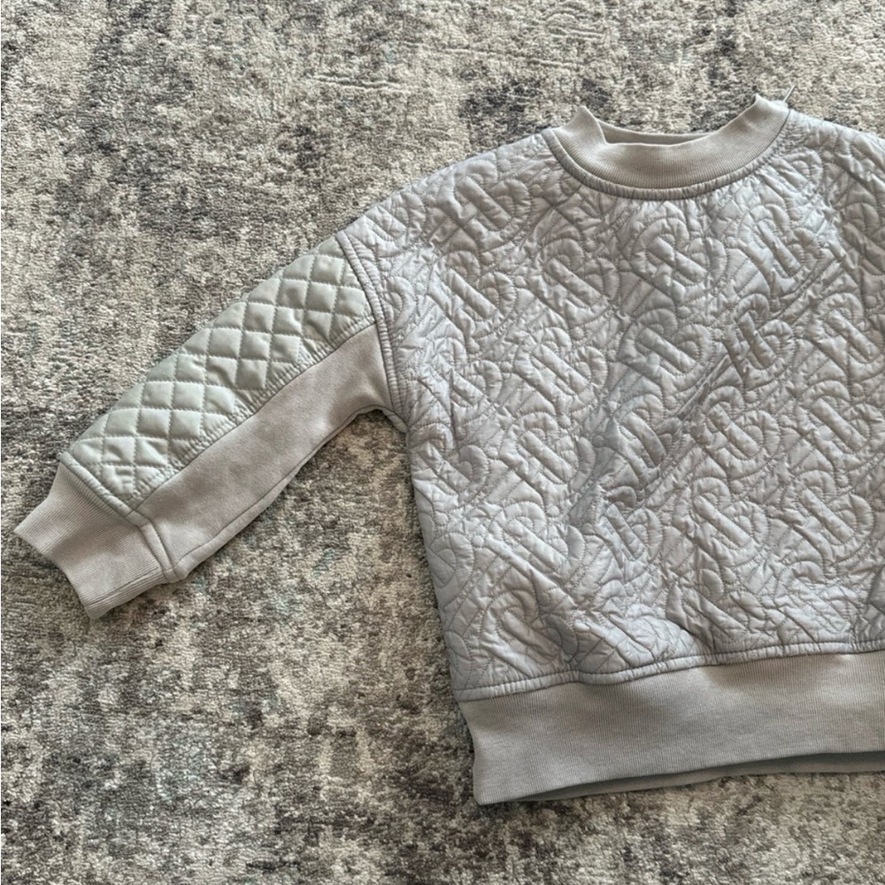 Burberry Boys Light Grey Timothie Top-padded Sweatshirt Size 3Y - Picture 3 of 9